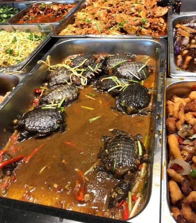 自助餐菜色吓坏不少网友，实际上这道菜是「红烧甲鱼(鱉)」(图翻摄自/爆废公社)