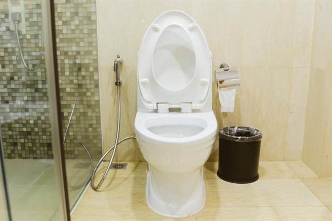为何东南亚国家马桶旁都有根水管？（图／达志影像）