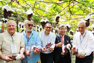 埔心鄉行銷葡萄之旅 中南美駐台大使體驗葡萄樹下饗宴