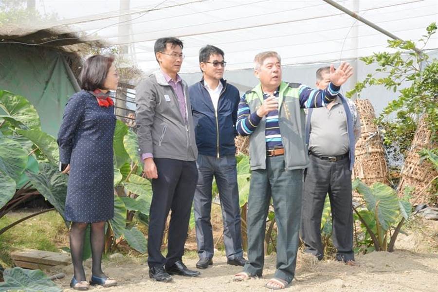 常見陳吉仲（左二者）穿著西裝襯衫與皮鞋，到第一線看農民與作物。（圖/陳吉仲FB）