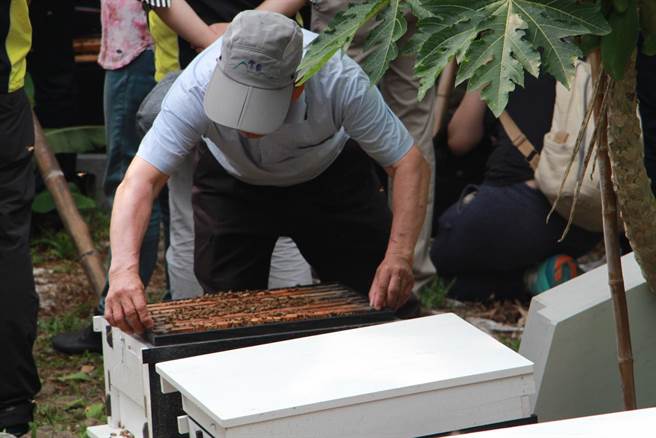 與原住民和解養蜂有成創林下經濟 生活 中時