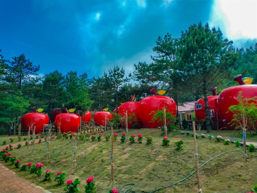 福壽山農場露營區最近出現18間蘋果屋，像是超大蘋果掉落在樹林中。（王文吉翻攝）