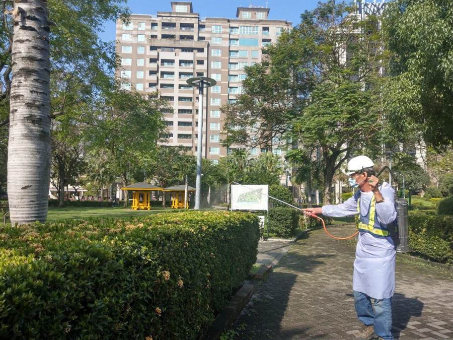 為防制荔枝椿象危害，台中市府啟動公園及行道樹修剪及化學防治。（盧金足攝）