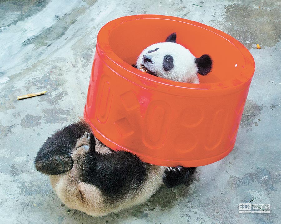 åäº¬ç´å±±æ£®æåç©åï¼å¤§è²çå¨ç©èãï¼æ°è¯ç¤¾è³æç§çï¼