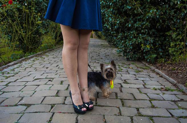 真理褲妹遛狗未繫繩 網見照片歪樓(示意圖/達志影像)