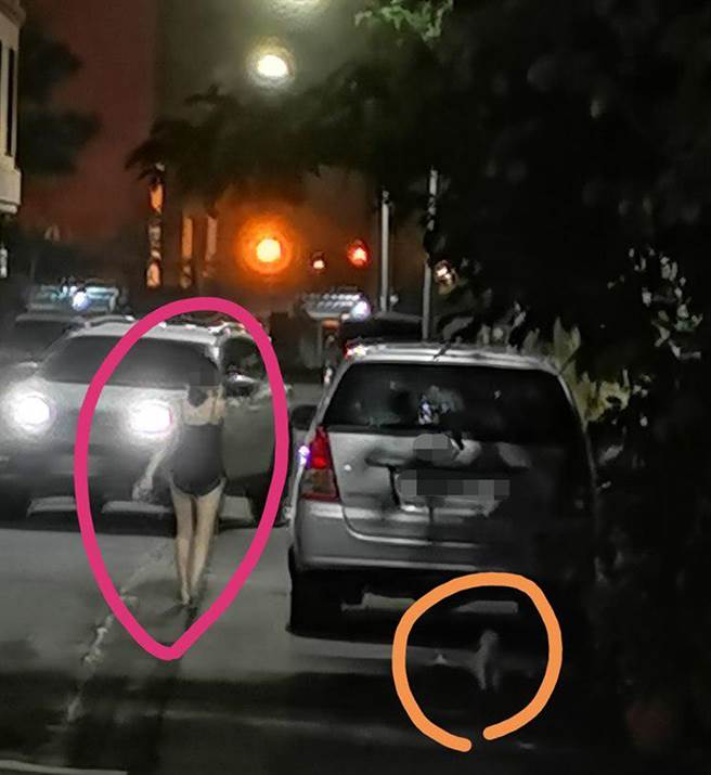 不少網友看見照片後，直呼飼主身材很好，穿著更是性感(圖翻攝自/爆怨公社)