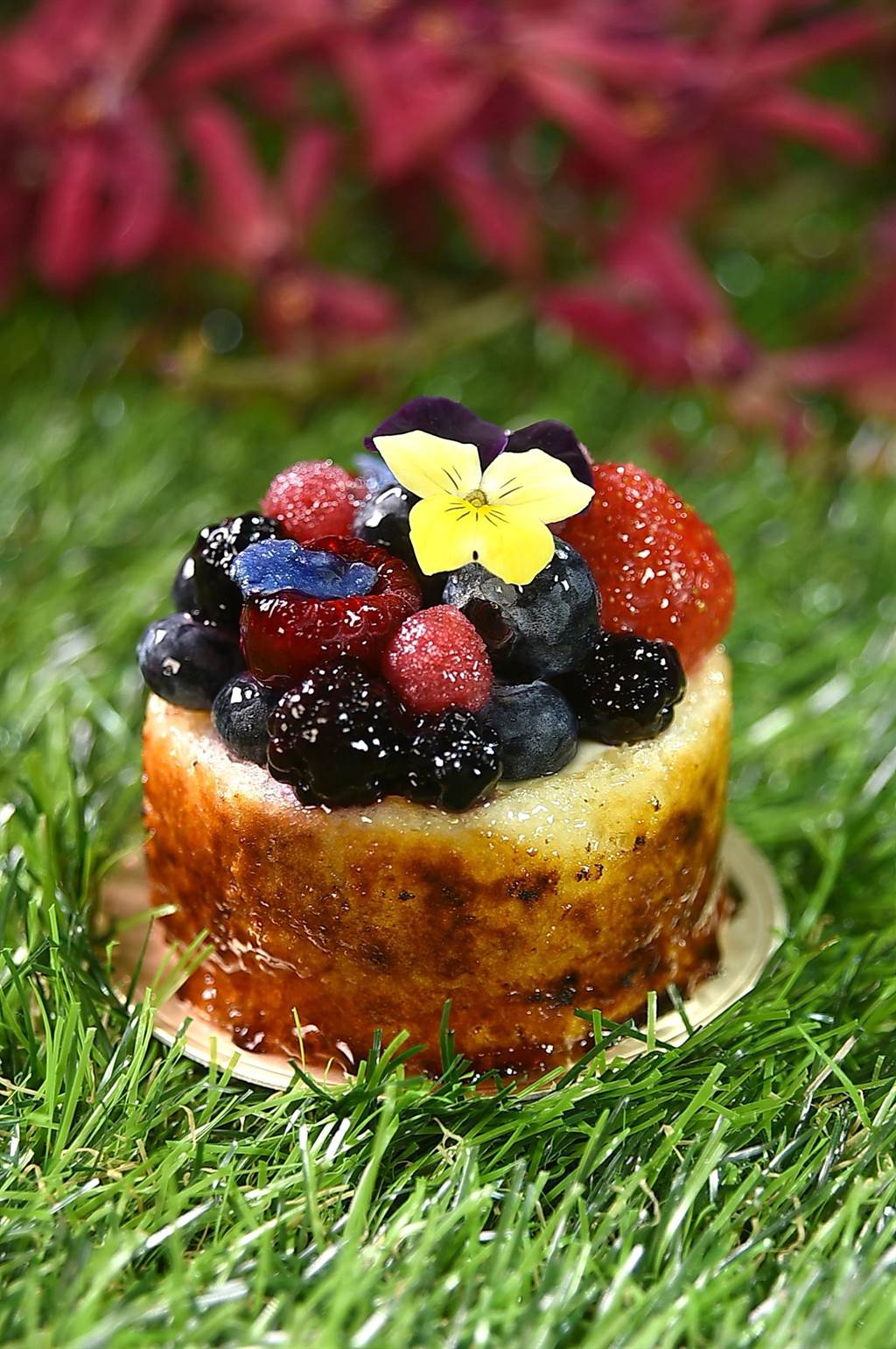 〈感官花園〉的原形是以外層苦甜焦糖的杏仁蛋糕為主體，包裹紫羅蘭慕斯和黑醋糖漿作餡，最上層舖滿著繽紛的莓果和食用花卉，形色味皆魅人。（圖／姚舜）