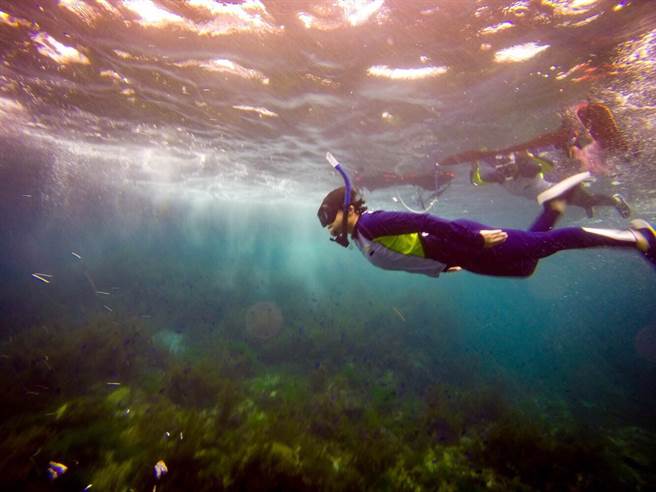 热爱自由潜水的王怡婷，每周休假都泡在水中世界。(图/永庆房屋 提供)