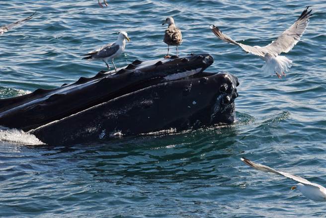 示意图。（图／达志影像）