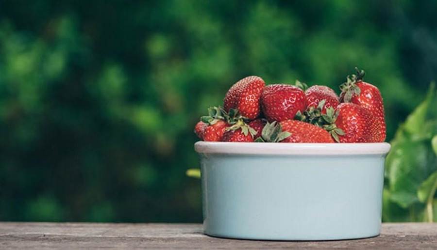 草莓中的鞣花酸是強大的抗氧化物。(圖片來源/pixabay)
