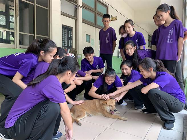 高雄市鼎金國中舞蹈班學生，特別喜歡與校犬「琪琪」玩在一塊兒。（柯宗緯攝）