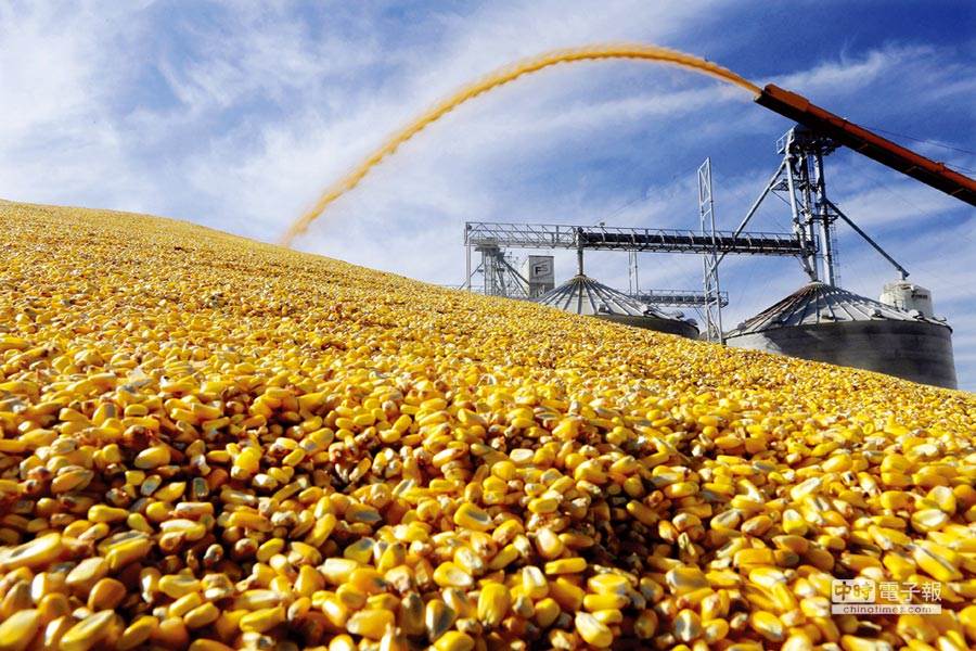 美國農業部（USDA）《農作物進展報告》顯示，不僅是大豆，美國玉米種植率在上周僅有49％，與5年平均值80％差異甚大，並創下歷史同期最低紀錄。(圖/美聯社)