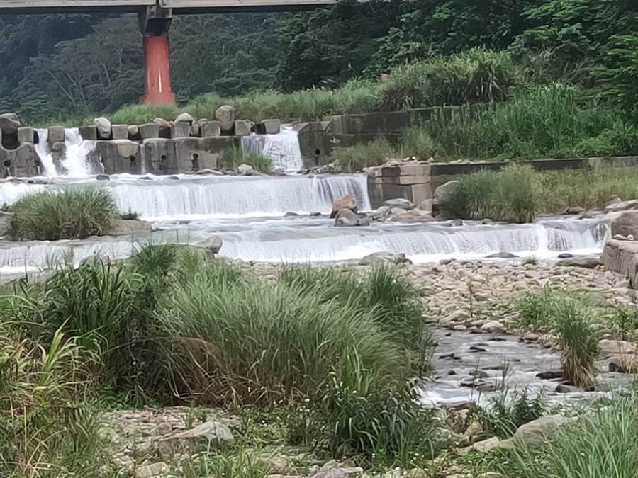 泰安觀止橋下溪水湍急。（巫靜婷翻攝）