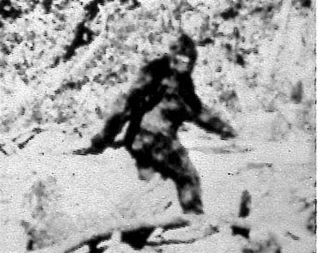 1967年10月20日所拍摄，疑似女性大脚怪的檔案照。（美联社）