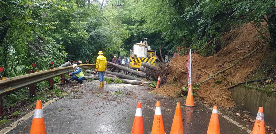 豪雨不断梨山五叶松巨木倒塌压毁台电高压线路 新闻 中时