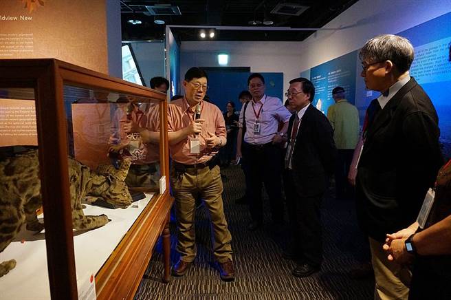 「生態想想」特展展出臺博館珍藏的台灣雲豹及石虎標本。（圖取自宜蘭縣立蘭陽博物館官網）