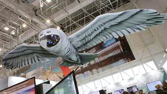 怪造型 俄羅斯間諜無人機設計成貓頭鷹模樣 