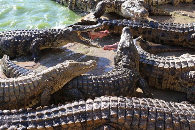 示意图与本文无关。(图/ 取自达志影像)