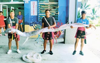 阿美族海祭 捕獲5米地震魚