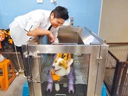 新北首創 寵物長照機構掛牌