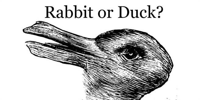 「鴨兔錯覺」是一個可以看成是鴨子或是兔子的曖昧圖形。(圖/網路)