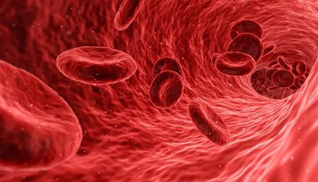 近年出現用「蚯蚓」做的保健食品「紅蚯蚓酵素」，宣稱能清除陳年堆積在血管壁的血脂，真的有那麼神奇嗎？（圖／pixabay）