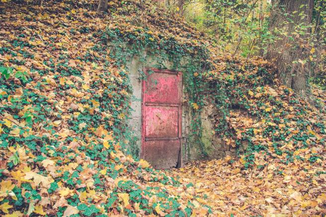 树林发现神秘木门！竟藏惊人真相(示意图/达志影像)