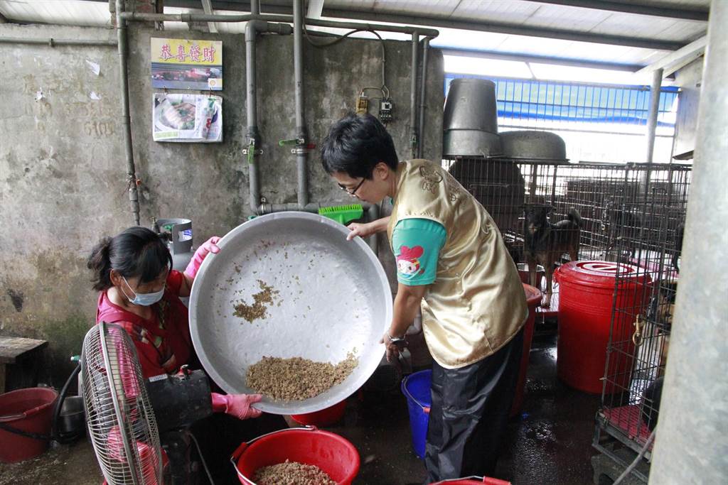 道家人文協會期盼為狗園減輕飼養負擔，讓毛小孩營養飽餐不缺糧。（中華道家人文協會提供）