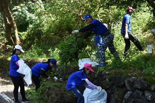 綠癌 花蔓澤蘭入侵林務局大規模清除 生活 中時