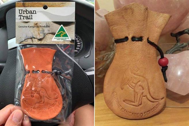 澳洲袋鼠种类繁多，从30公分到2公尺高的袋鼠都有，因此「宝贝袋」也有不同尺寸让人挑选。（摘自爆废公社）