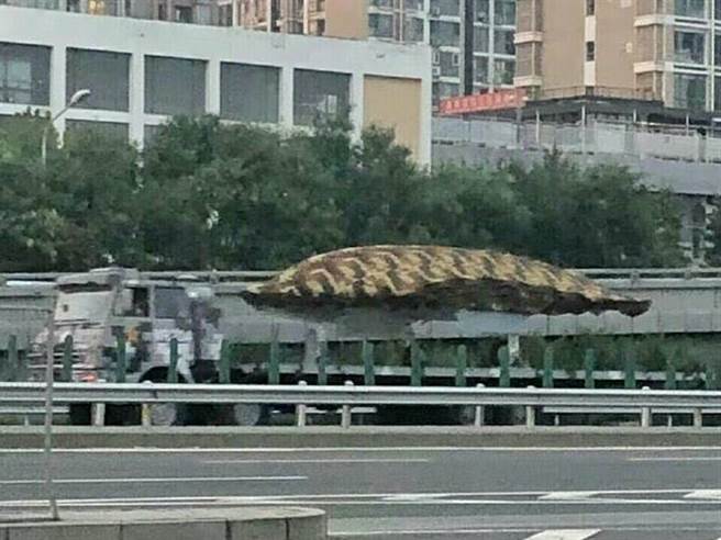 在北京街头进行阅兵排练的利剑无人机展示车。（图／鼎盛军事）