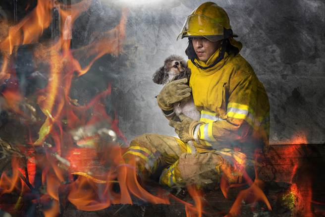 家中半夜突火灾 忠犬舍命救全家(示意图/达志影像)