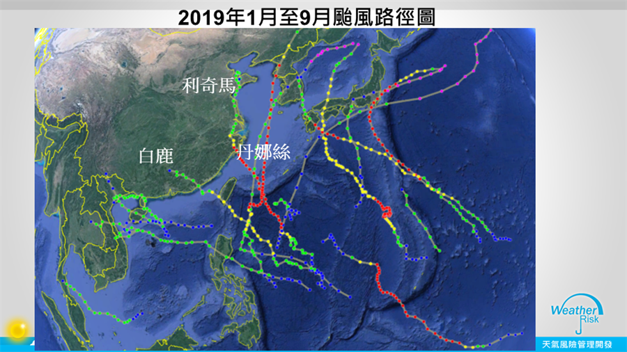 2019年颱風路徑圖。(圖擷自天氣風險管理公司)