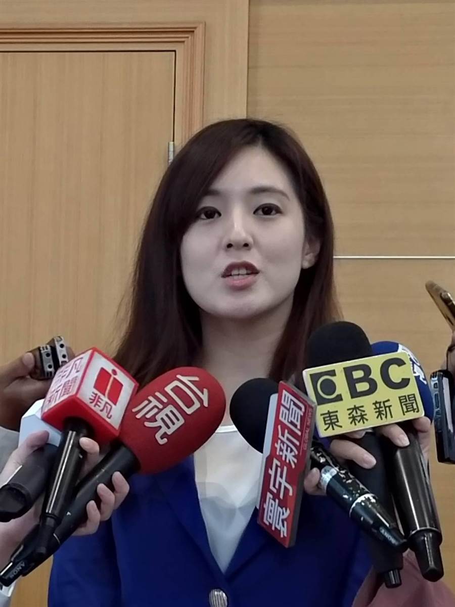 韓營發言人何庭歡評2020大選「像小鳥」 - 政治