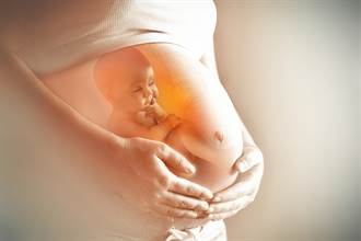 子宮胚胎驚見「蜥蜴怪手」 竟藏人類身世祕密