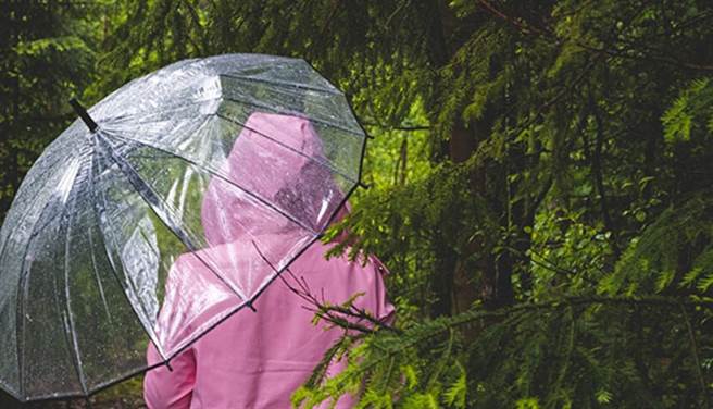 雨伞也是污染源！专家：尤其这类伞更难回收。（图／pixabay）