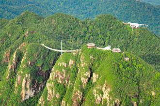 馬來西亞探秘境！687公尺高天空之橋 邀你漫步在雲端