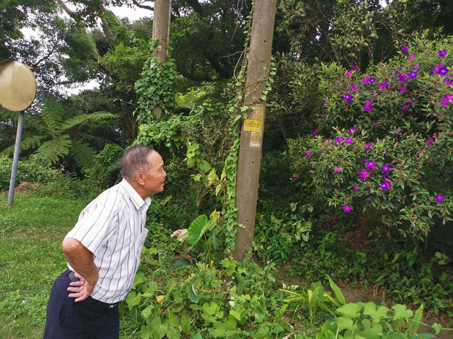 雲洞山莊的老主人湯雲珍指著電線桿後方土地才是國有土地範圍，他們並未占用。〔謝明俊攝〕