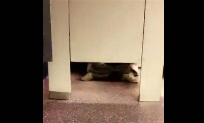 人妻与少年董事在公司残障厕所大演激情四脚瘦，老公不甘戴绿帽求偿80万元。(非事发示意图/ 翻摄自推特Ryan Clyne)