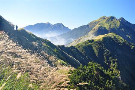 行政院鬆綁高山林道專家憂生態破壞 生活 中時