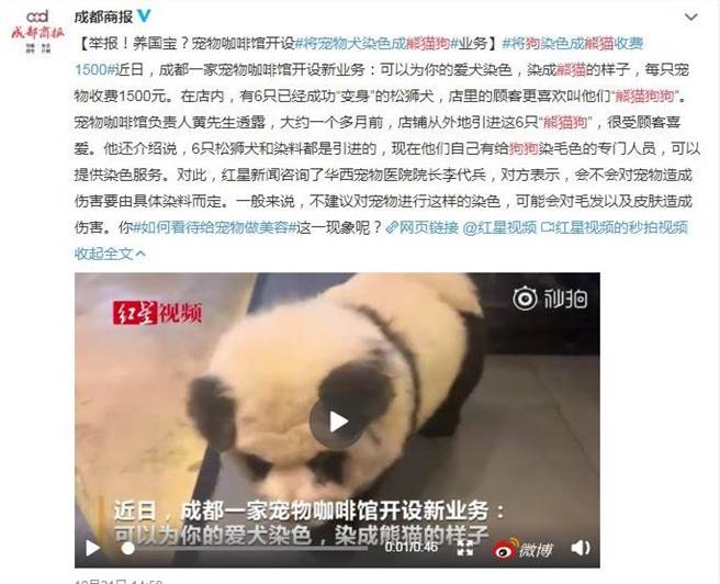 寵物染毛 愛犬變國寶 網怒 瘋了嗎 生活 中時新聞網