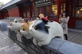 北京故宮御貓雕像萌翻女遊客　成打卡新聖地