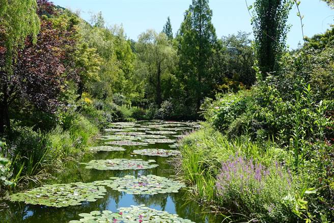 全球唯一經法國認證的日本莫內庭園 國際 中時新聞網