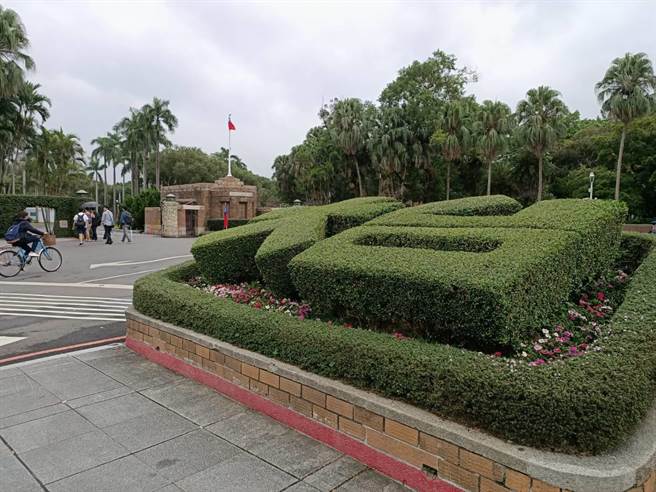 台大Ceiba课程成绩遭改，校方：学生误触，图为台大校园。(简立欣摄影)