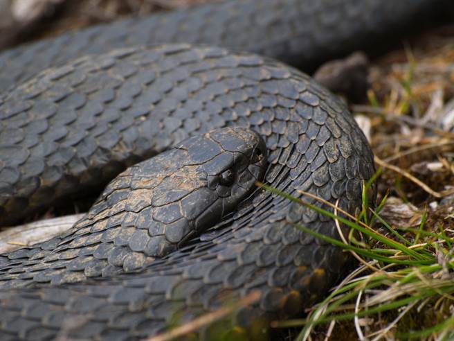 示意图与本文无关。(图/ 取自达志影像)