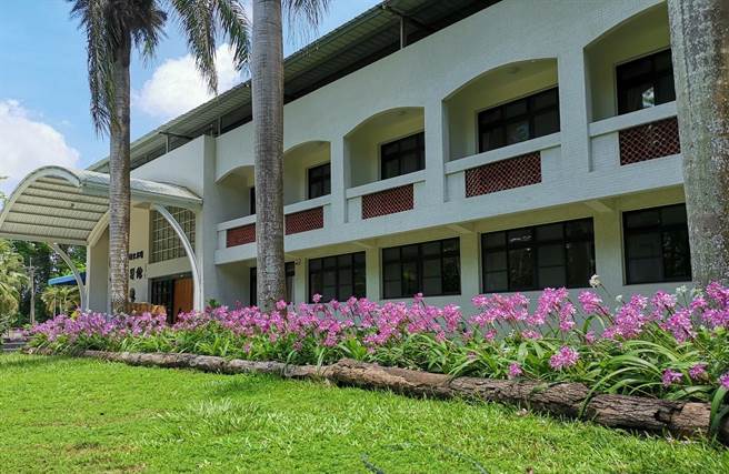 新化林場苞舌蘭盛開秋高氣爽賞花去 旅遊 中時