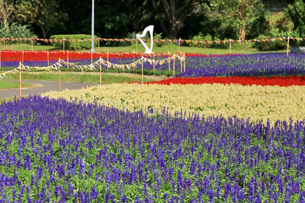 台北絕美花海 古亭河濱公園盛開 生活 中時