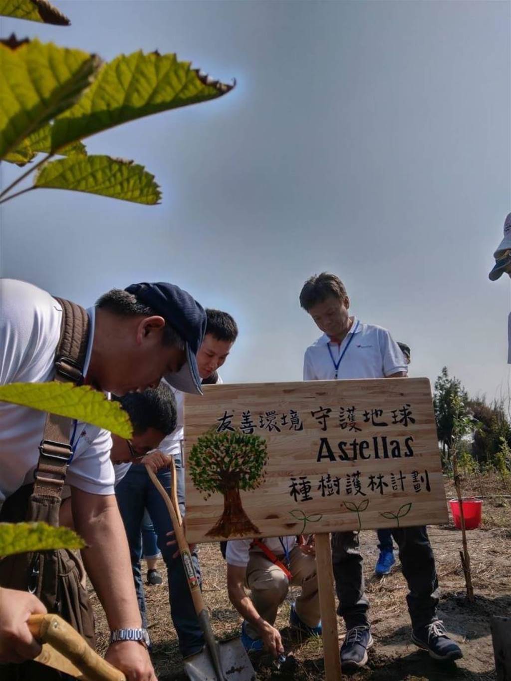 台灣安斯泰來員工及家屬志工植下百株台灣原生植物黃荊及椬梧。（東勢林管處提供／王文吉台中傳真）