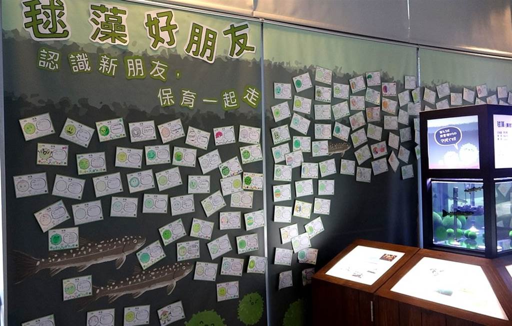 毬藻展示場旁布置許多毬藻著色卡，是臺灣的大小朋友給予毬藻熱烈的歡迎與祝福。（台北市立動物園提供）