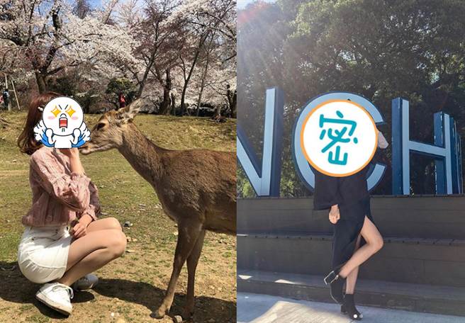 氣質女獸醫仙氣逼人 單身狗求治療(圖/ 摘自Instagram@12.5story)